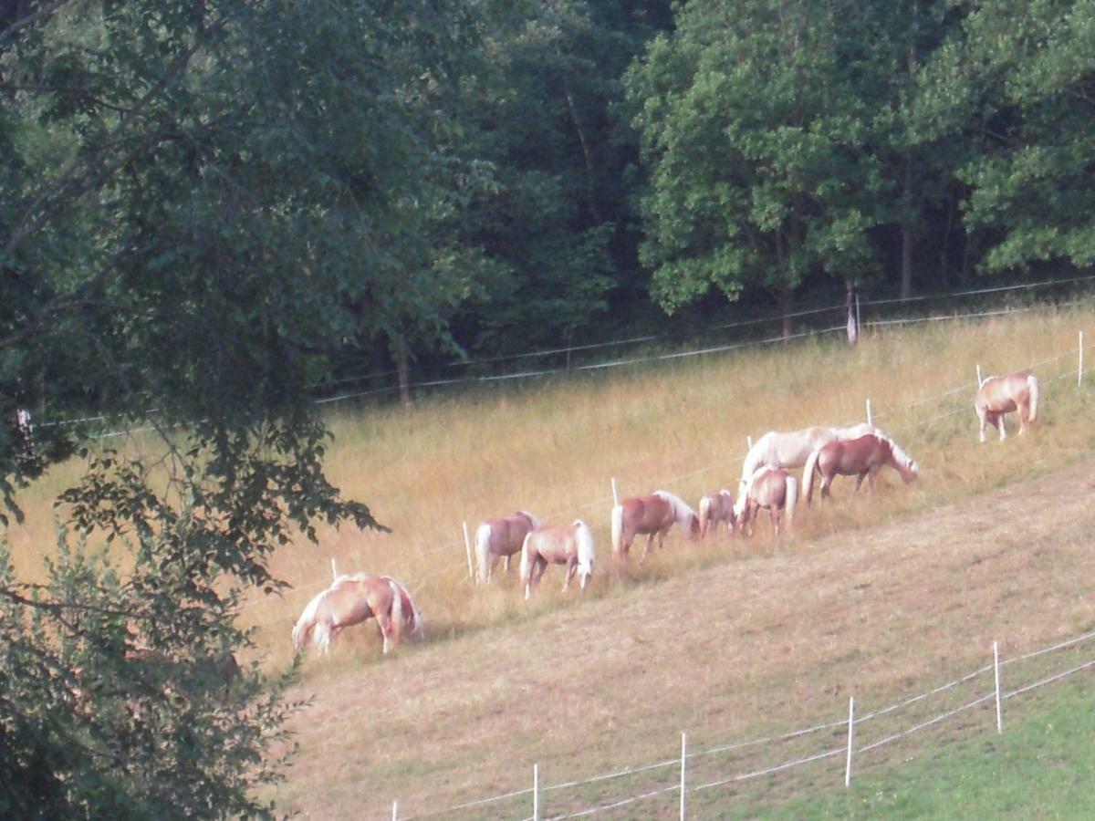 Haflingerhof Luef Villa Bad Schönau Dış mekan fotoğraf