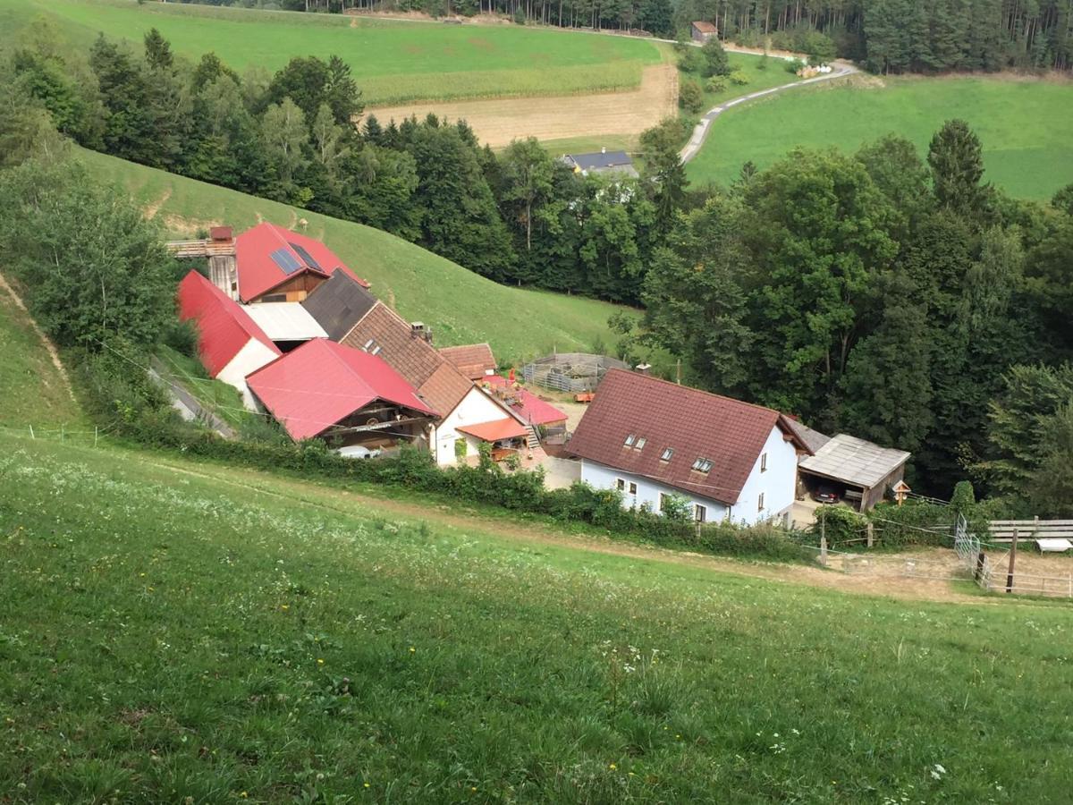 Haflingerhof Luef Villa Bad Schönau Dış mekan fotoğraf