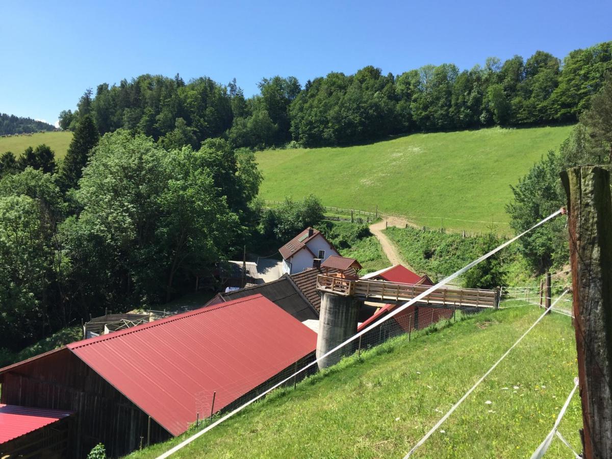Haflingerhof Luef Villa Bad Schönau Dış mekan fotoğraf