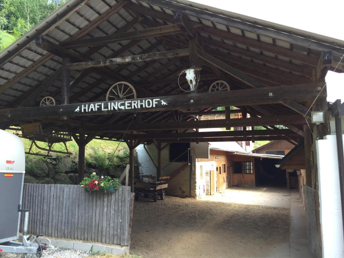 Haflingerhof Luef Villa Bad Schönau Dış mekan fotoğraf