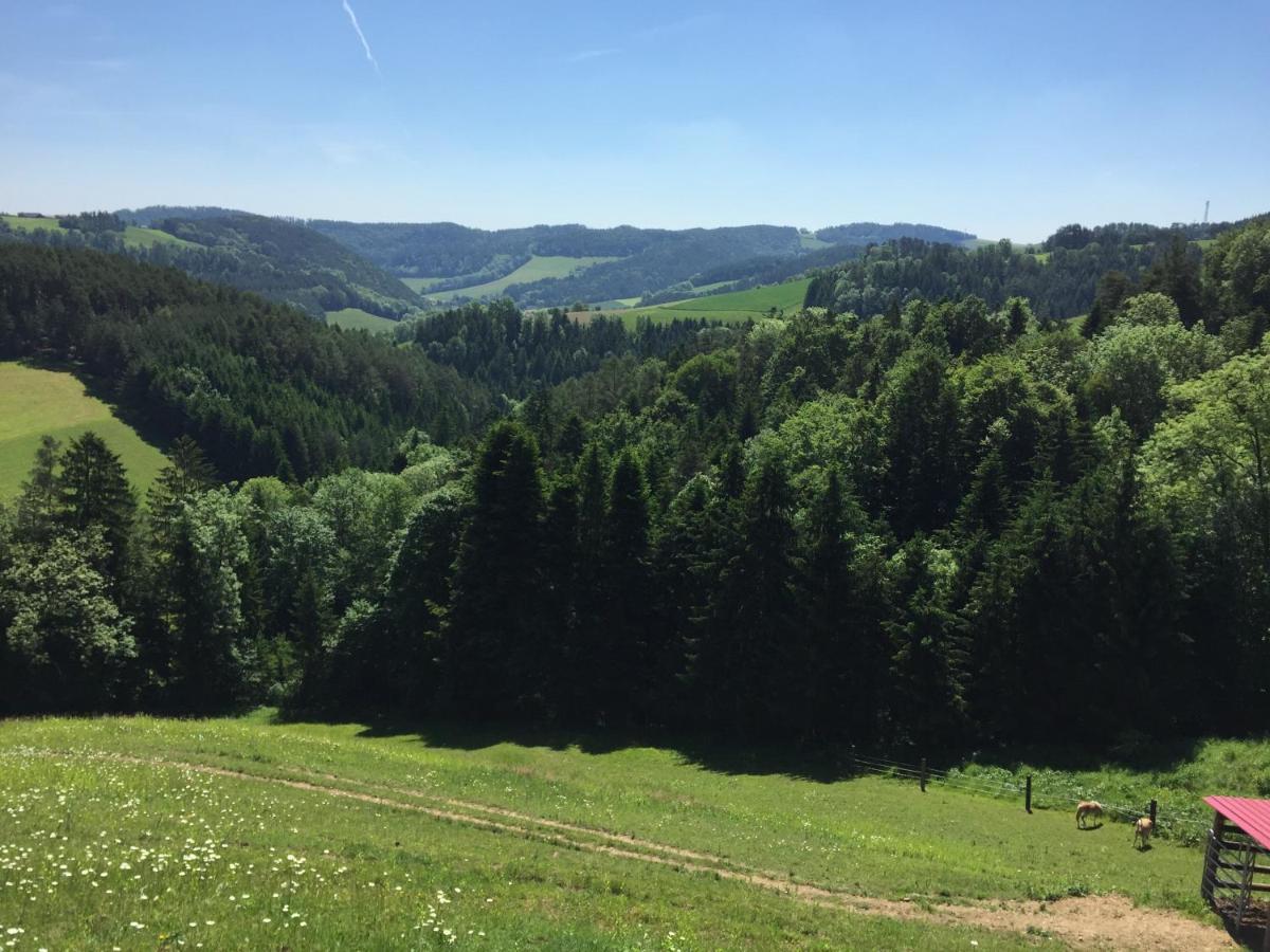 Haflingerhof Luef Villa Bad Schönau Dış mekan fotoğraf